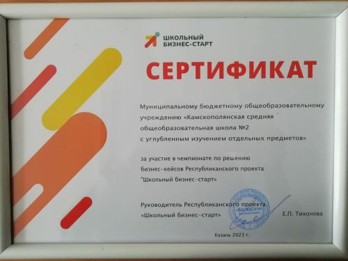Команда камполянской школы №2 прошла очередной этап чемпионата по решению бизнес-кейсов в г. Казань