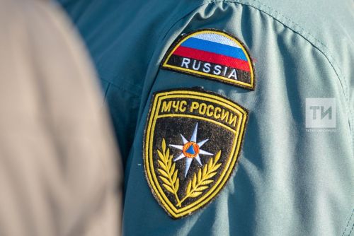 МЧС: смягчены требования при сжигании травы на земельном участке