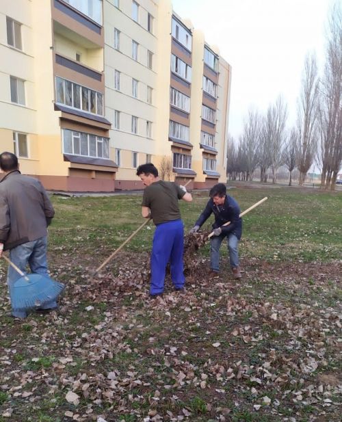 Жители Камских Полян продолжают наводить чистоту в посёлке