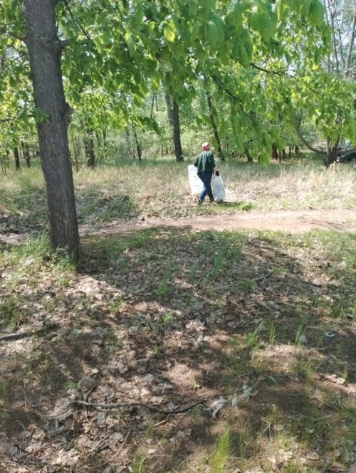Чистый берег - чистая вода: Активисты организаций Камских Полян очистили от мусора берег реки Кама