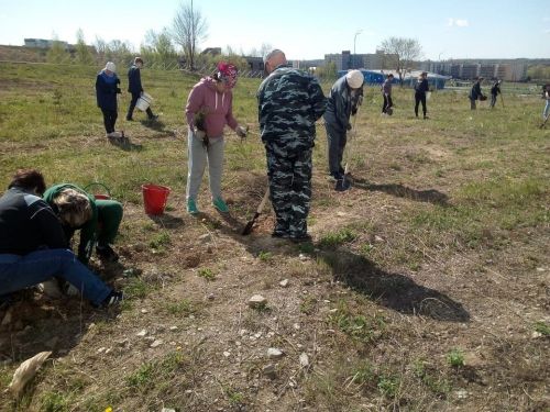 Центра детского творчества «Радуга» принял участие во Всероссийской акции «Сад памяти»