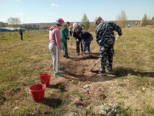 Центра детского творчества «Радуга» принял участие во Всероссийской акции «Сад памяти»