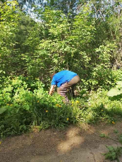 Сотрудники камполянских организаций произвели расчистку дорожной полосы