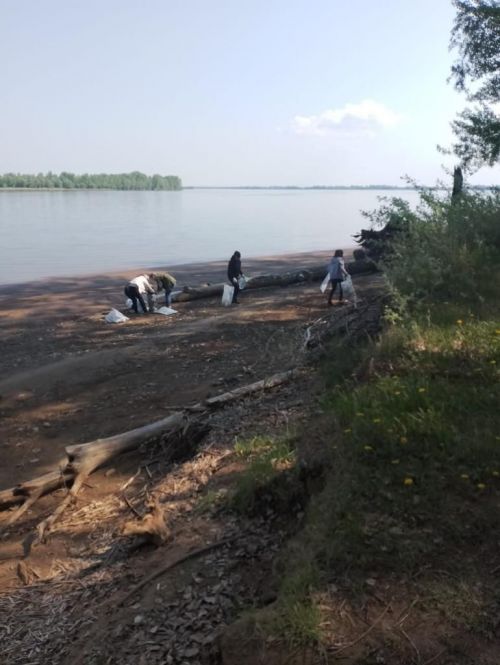 Сотрудники камполянских организаций произвели расчистку дорожной полосы