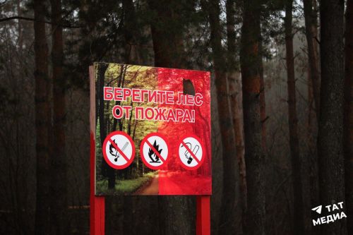 Минлесхоз сообщил о четырехкратном росте возгораний с начала года из-за отсутствия дождей