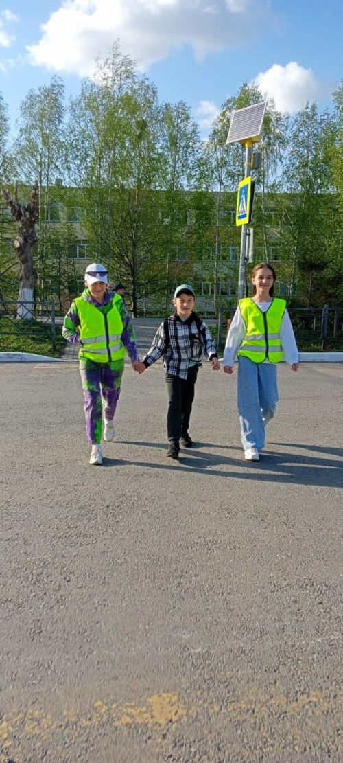 Обучающиеся камполянской школы №1 провели акцию по безопасности дорожного движения