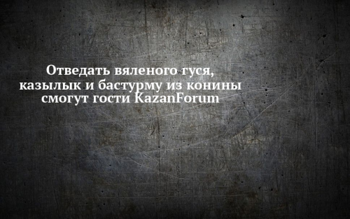Отведать вяленого гуся, казылык и бастурму из конины смогут гости KazanForum