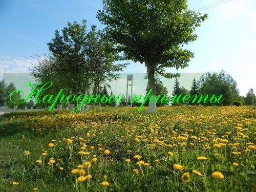 Сновидение, увиденное днем 27 июня, вещее: Народные приметы на сегодня