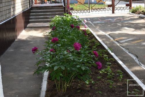 В детском саду «Золотая Рыбка» прошла приемка