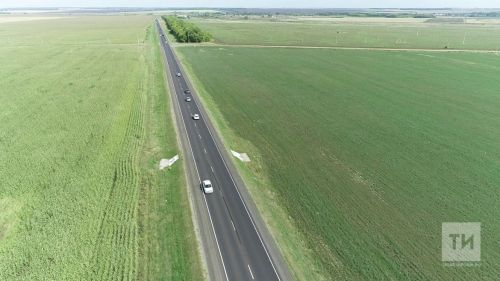 Недостаток влаги отрицательно влияет на развитие яровых культур - Россельхозцентр РТ