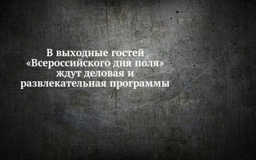 В выходные посетителей «Всероссийского дня поля» ждут деловая и развлекательная программы