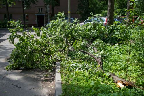 Татарстанцы после урагана получили несколько миллионов выплат по страховкеㅤ