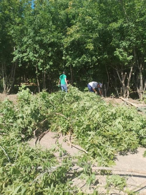 «Тропа здоровья» стала еще более комфортной для камполянцев