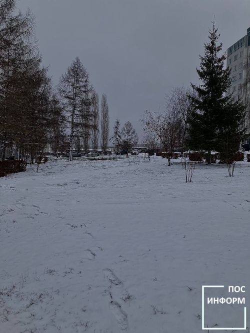 В скором времени в Татарстане выпадет долгожданный снег