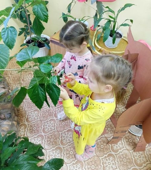 Воспитатель д/с «Айгуль» Ольга Ивановна Соколова: «Для меня цветы — это кусочек счастья и уюта»
