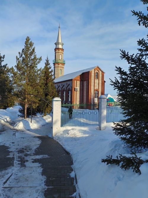 Рамадан 2024: приход весны в природе и в сердцах верующих