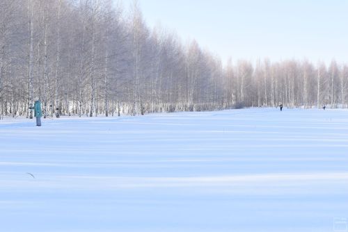 Жители Камских Полян приняли участие в массовом забеге по лыжным гонкам «Лыжня Камских Полян — 2024» (Фоторепортаж)