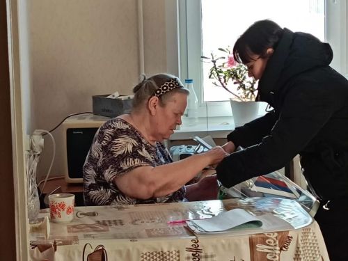 Голосуем на дому