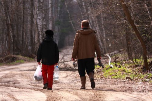 В Роспотребнадзоре РТ напомнили, как защищаться от клещей