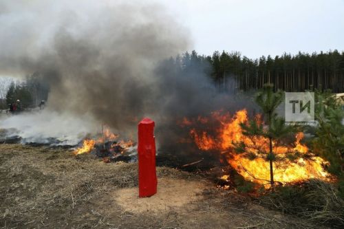 С 15 апреля в Татарстане начнется пожароопасный сезон