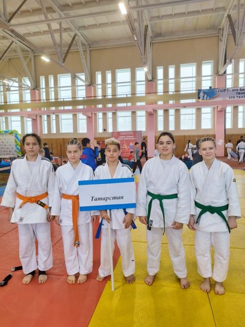 Камполянский дзюдоист вошёл в десятку сильнейших борцов Приволжского Федерального округа