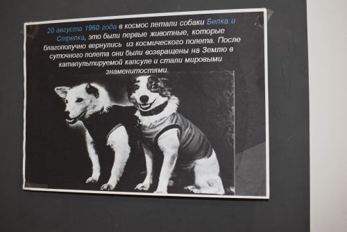 Специалисты молодёжного центра провели квест — игру, посвященную Дню Космонавтики
