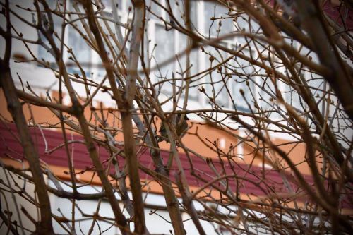 В Татарстане прогнозируют до +21