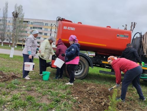 В Камских Полянах завершился первый этап озеленения