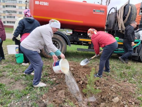В Камских Полянах завершился первый этап озеленения