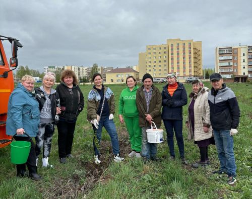 В Камских Полянах завершился первый этап озеленения