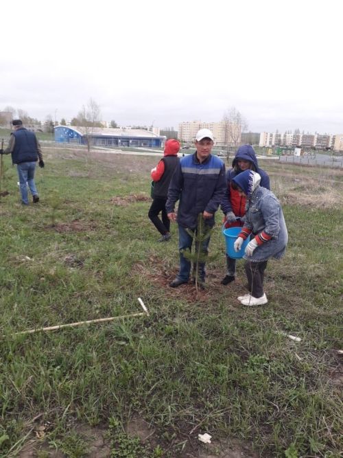 В Камских Полянах завершился первый этап озеленения