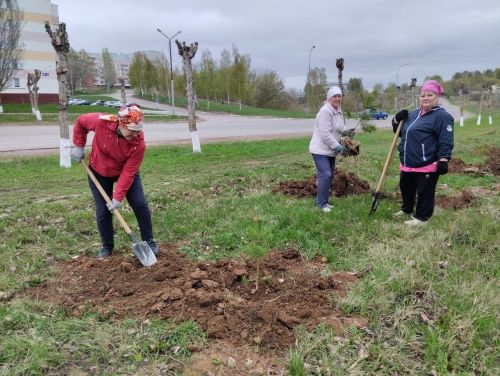 В Камских Полянах завершился первый этап озеленения
