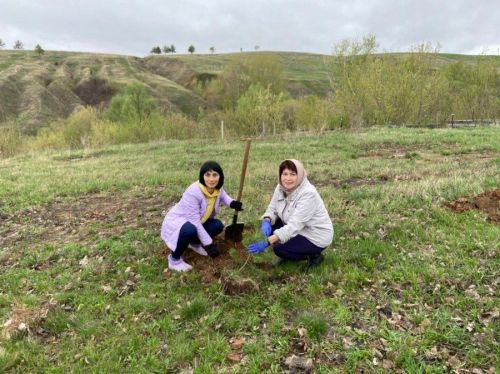 В Камских Полянах завершился первый этап озеленения