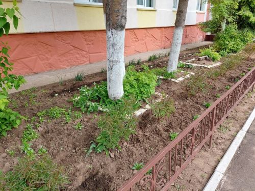 Сотрудники Центра детского творчества «Радуга» украсили цветами прилегающую территорию