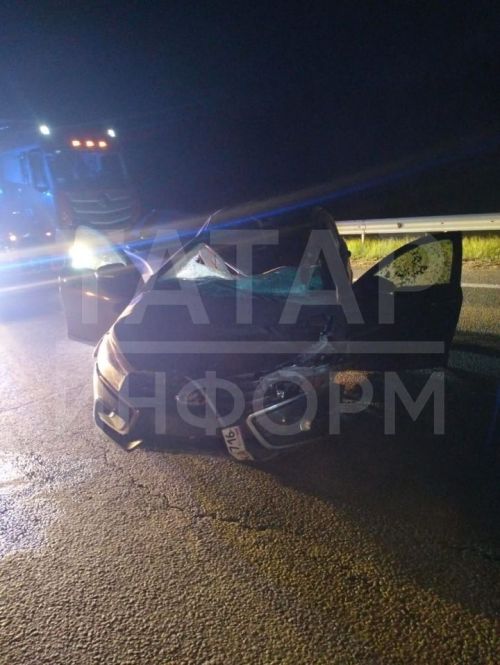 В Татарстана произошло смертельное ДТП с участием дикого животного