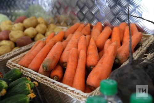 Когда наступает время для сбора моркови и свеклы