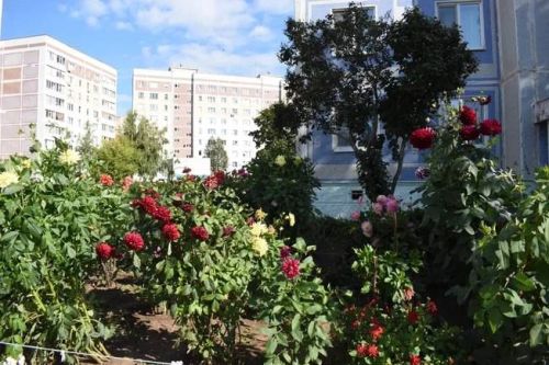 Погода в Камских Полянах