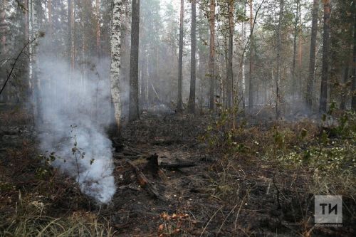 В Республике Татарстан продлили штормовое предупреждение из-за высокой пожароопасности в лесах