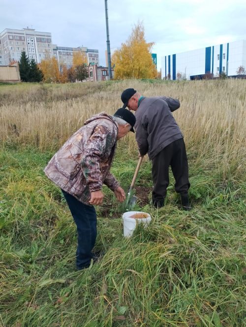 Камские Поляны стали зеленее: сотрудники «Радуги» высадили сосны