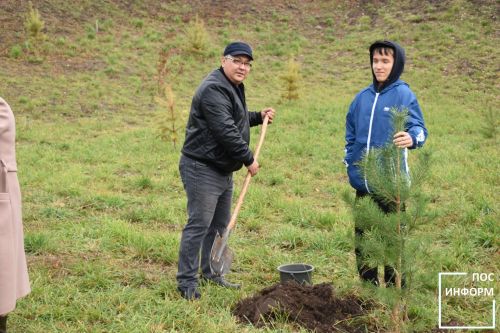 В Камских Полянах прошло открытие нового парка