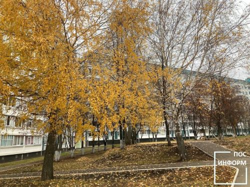 Чем заняться на выходных в Камских Полянах?
