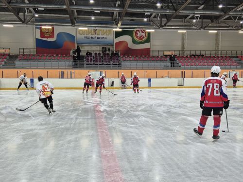 В ледовом дворце «Олимпия» Камских Полян прошло первенство РТ по хоккею