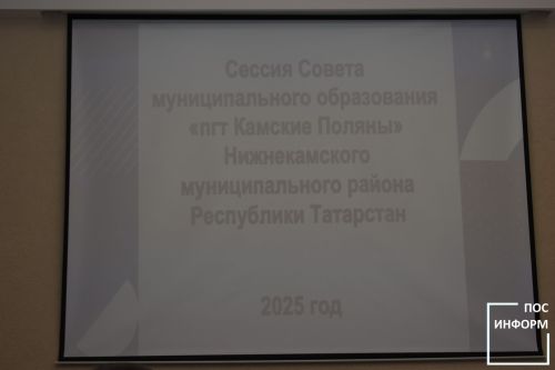 Заключительная сессия прошла в исполнительном комитете Камских Полян