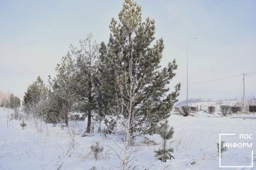 В Республике Татарстан до конца недели ожидаются морозы и туманы