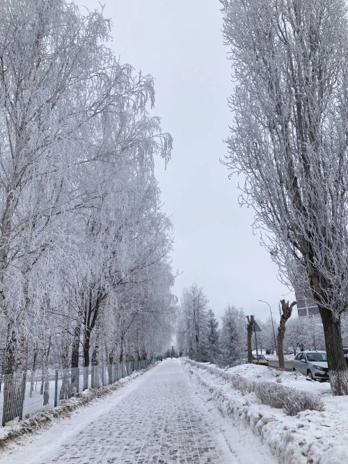 12 февраля – Васильев день: что нельзя делать и как предсказать погоду?
