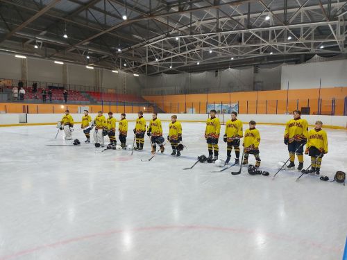 В ледовом дворце «Олимпия» Камских Полянах состоялось Первенство РТ по хоккею