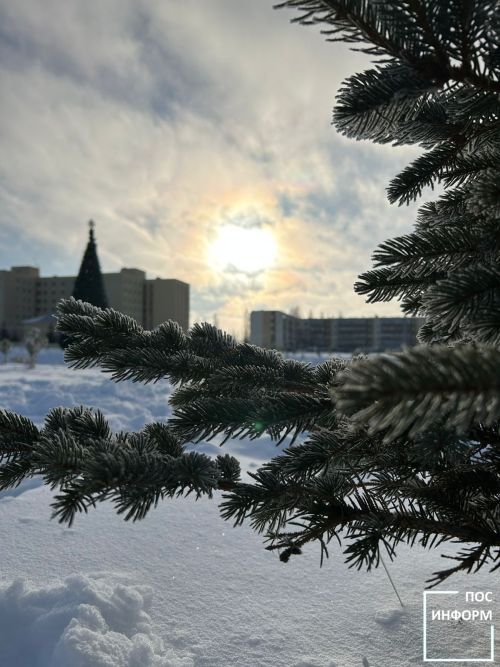 19 февраля — день Вуколы Телятника: традиции, приметы и запреты