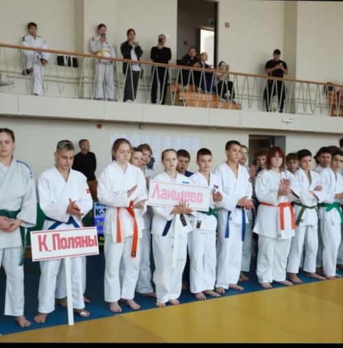 Спортсмен Камских Полян принял участие в Первенстве РТ по дзюдо