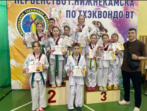 Спортсмены Камских Полян завоевали награды на открытом первенстве по тхэквондо