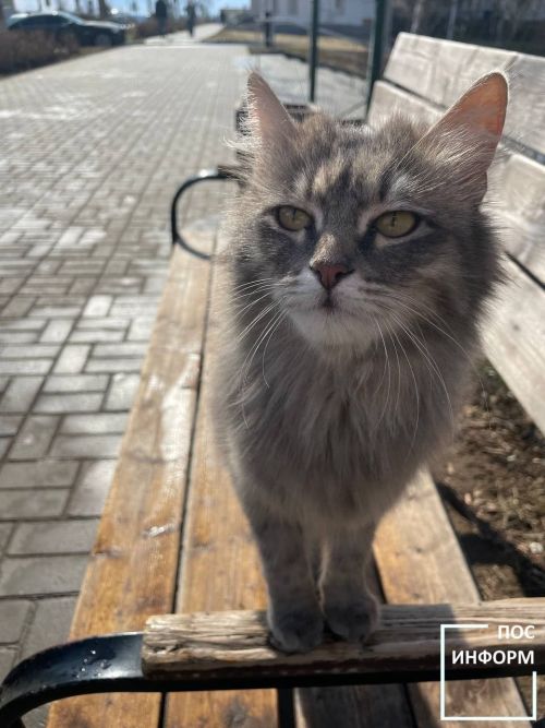 Творчество жительницы Камских Полян Светланы Бадретдиновой